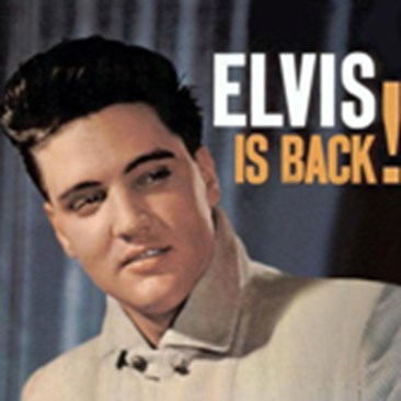 Elvis2.jpg